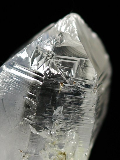 �g���C�S�[�j�b�N���� �u���W���Y 26g (69)