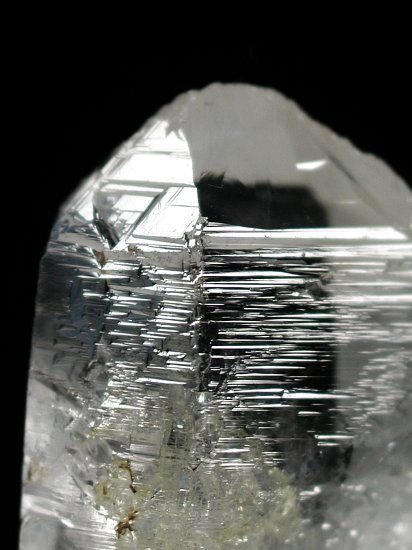 �g���C�S�[�j�b�N���� �u���W���Y 26g (69)