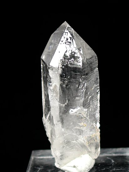 �g���C�S�[�j�b�N���� �u���W���Y 31g (71)