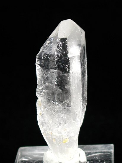 �g���C�S�[�j�b�N���� �u���W���Y 31g (71)