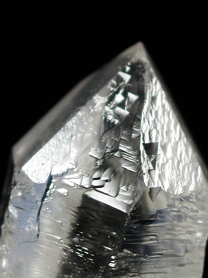 �g���C�S�[�j�b�N���� �u���W���Y 31g (71)