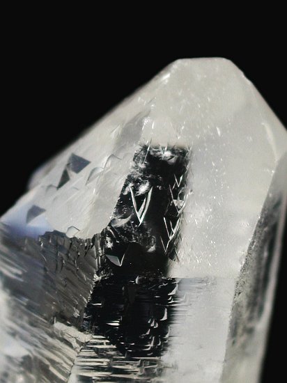 �g���C�S�[�j�b�N���� �u���W���Y 31g (71)