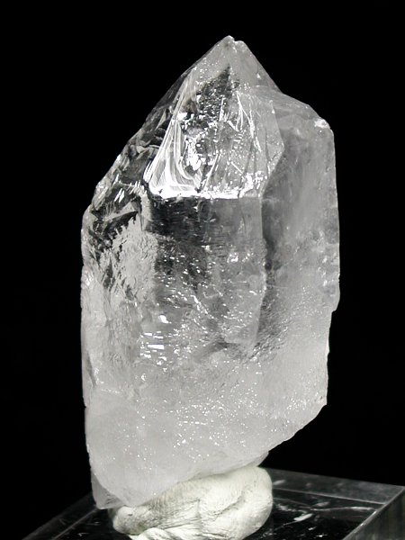 �g���C�S�[�j�b�N���� �u���W���Y 73g (79)