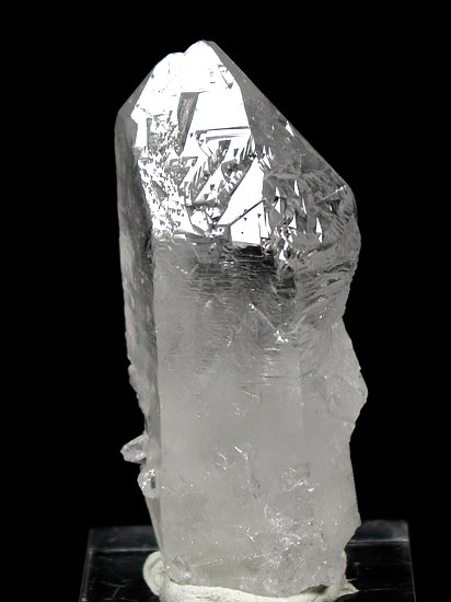 �g���C�S�[�j�b�N���� �u���W���Y 73g (79)