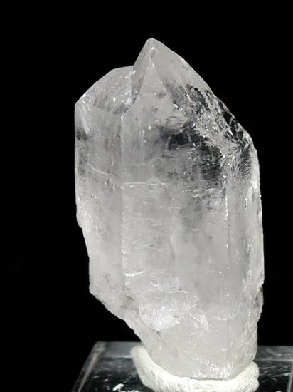 �g���C�S�[�j�b�N���� �u���W���Y 73g (79)