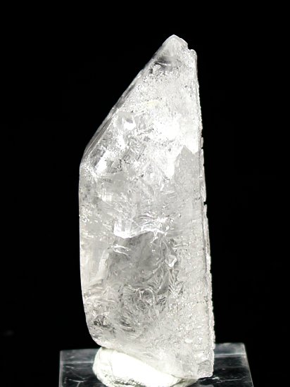 �g���C�S�[�j�b�N���� �u���W���Y 81g (*81)