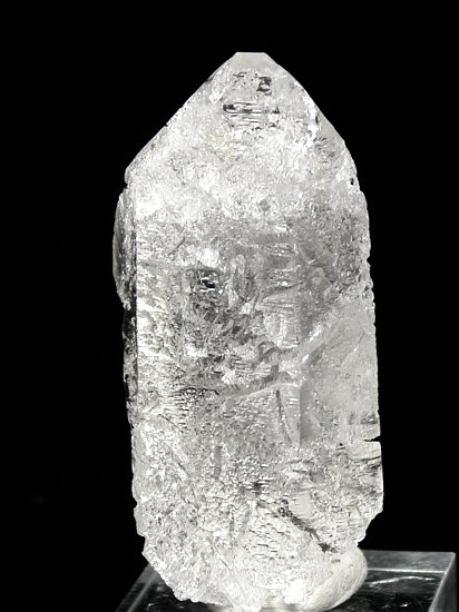 �g���C�S�[�j�b�N���� �u���W���Y 81g (*81)