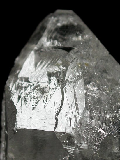 �g���C�S�[�j�b�N���� �u���W���Y 81g (*81)