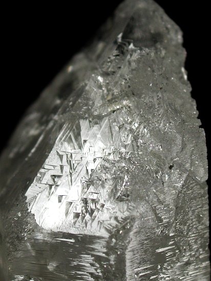 �g���C�S�[�j�b�N���� �u���W���Y 81g (*81)