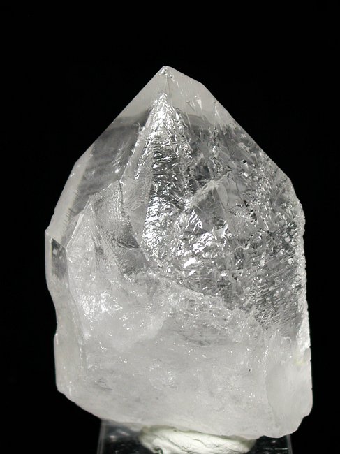 �g���C�S�[�j�b�N���� �u���W���Y 203g (*87)