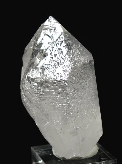 �g���C�S�[�j�b�N���� �u���W���Y 203g (*87)