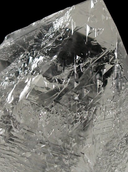 �g���C�S�[�j�b�N���� �u���W���Y 203g (*87)