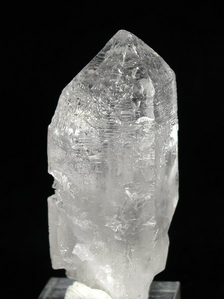 �g���C�S�[�j�b�N���� �u���W���Y 100g (94)