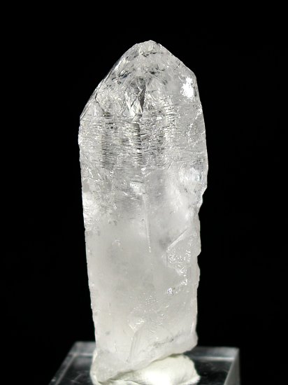 �g���C�S�[�j�b�N���� �u���W���Y 100g (94)