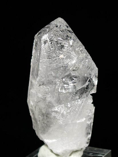 �g���C�S�[�j�b�N���� �u���W���Y 100g (94)