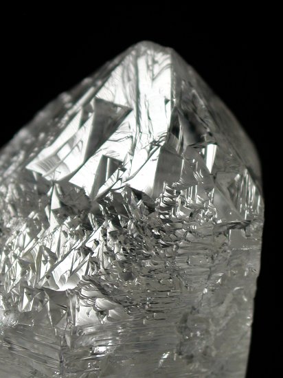 �g���C�S�[�j�b�N���� �u���W���Y 100g (94)