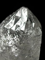 �g���C�S�[�j�b�N���� �u���W���Y 100g (94)