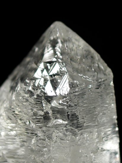 �g���C�S�[�j�b�N���� �u���W���Y 100g (94)