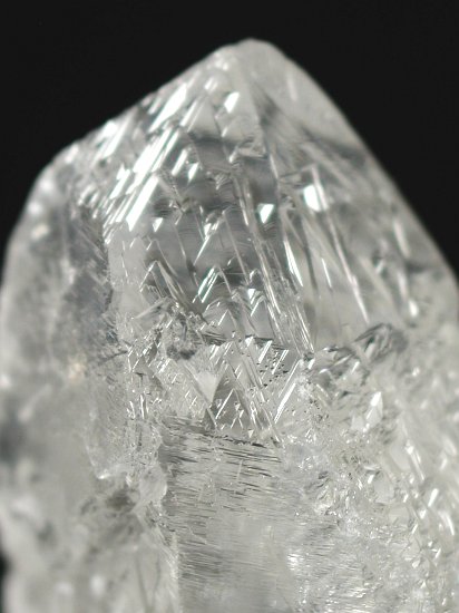 �g���C�S�[�j�b�N���� �u���W���Y 100g (94)