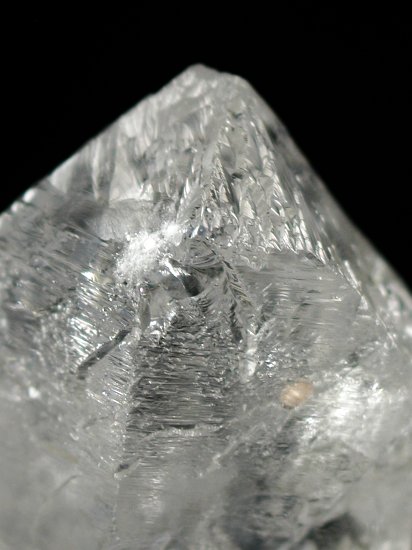 �g���C�S�[�j�b�N���� �u���W���Y 100g (94)