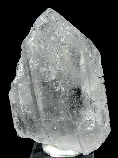 �g���C�S�[�j�b�N���� ���E�u���W���Y 273g (*107)