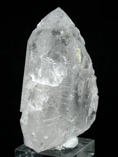 �g���C�S�[�j�b�N���� ���E�u���W���Y 273g (*107)