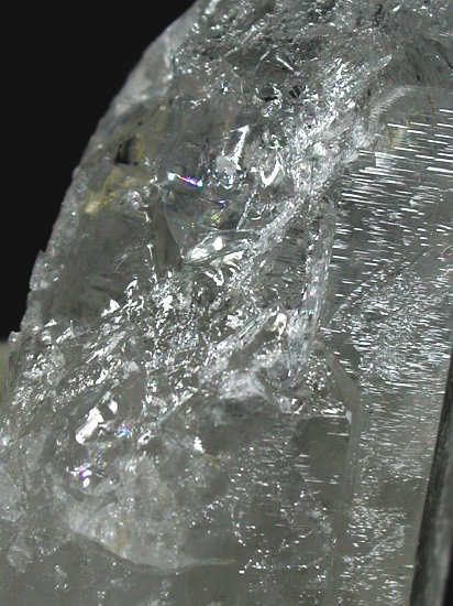 �g���C�S�[�j�b�N���� ���E�u���W���Y 273g (*107)