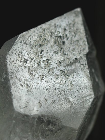 �g���C�S�[�j�b�N���� �u���W���Y 225g (108)