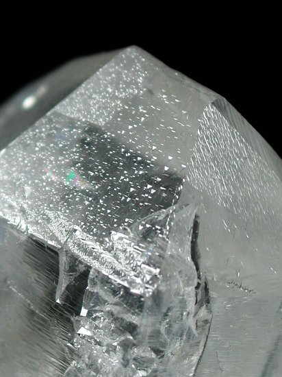 �g���C�S�[�j�b�N���� ���E�u���W���Y 96g (110)