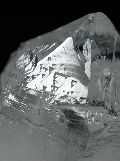 �g���C�S�[�j�b�N���� �u���W���Y 40g (114)