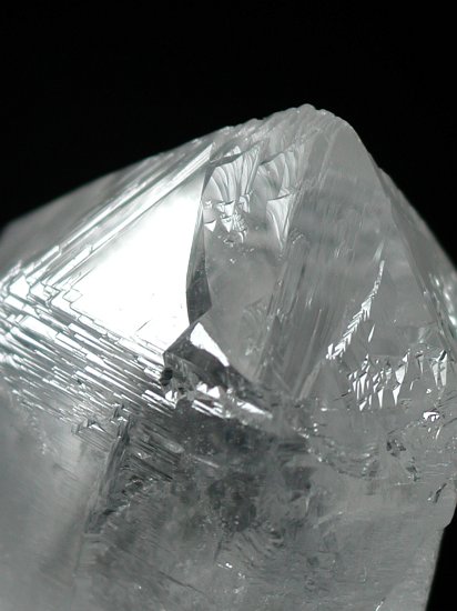 �g���C�S�[�j�b�N���� �u���W���Y 40g (114)