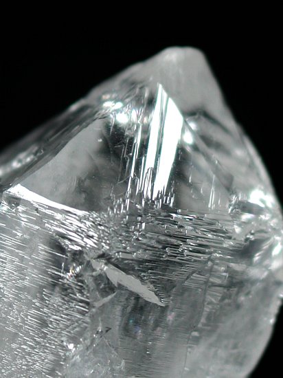 �g���C�S�[�j�b�N���� �u���W���Y 40g (114)