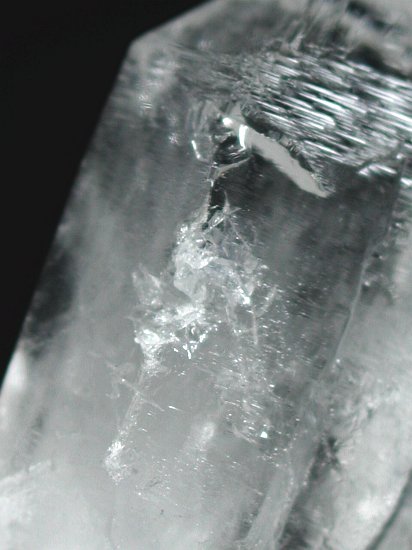 �g���C�S�[�j�b�N���� �u���W���Y 40g (114)