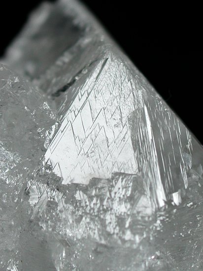 �g���C�S�[�j�b�N���� �u���W���Y 271g (*119)