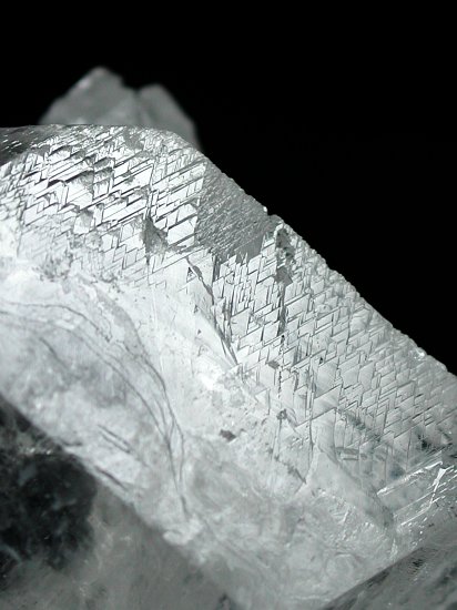 �g���C�S�[�j�b�N���� �u���W���Y 271g (*119)