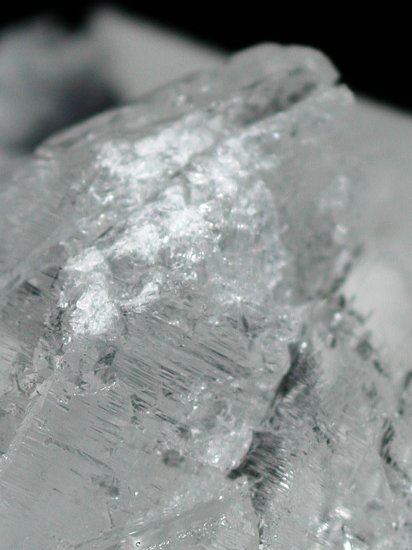 �g���C�S�[�j�b�N���� �u���W���Y 271g (*119)