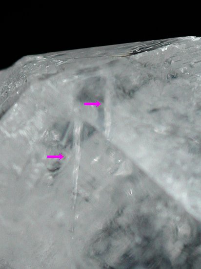 �g���C�S�[�j�b�N���� �u���W���Y 271g (*119)