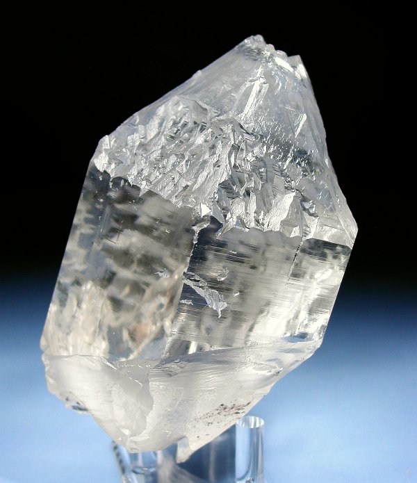 �g���C�S�[�j�b�N���� �p�L�X�^���Y 738g (35)