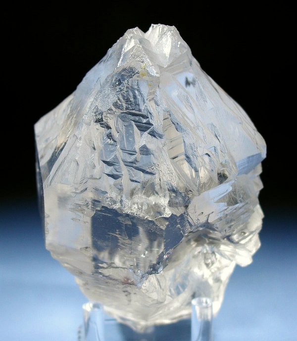 �g���C�S�[�j�b�N���� �p�L�X�^���Y 738g (35)