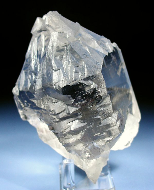 �g���C�S�[�j�b�N���� �p�L�X�^���Y 738g (35)