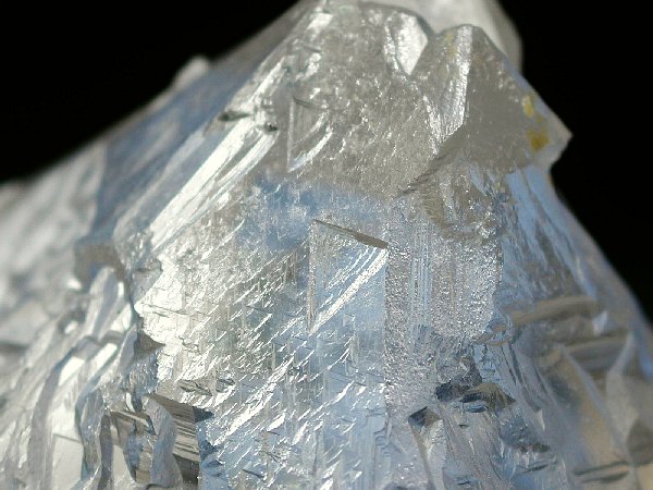 �g���C�S�[�j�b�N���� �p�L�X�^���Y 738g (35)