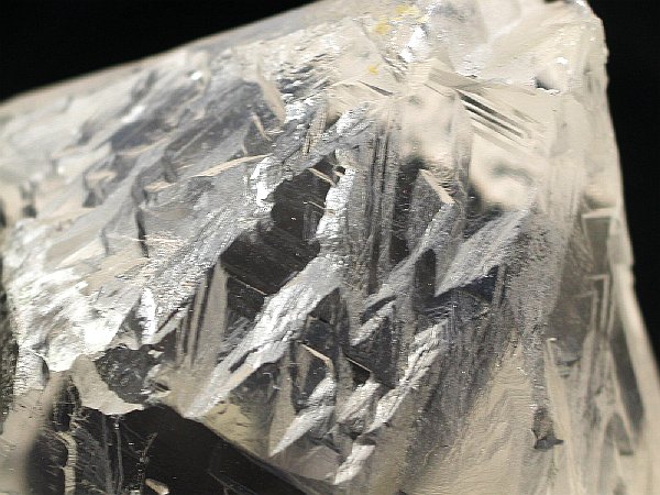 �g���C�S�[�j�b�N���� �p�L�X�^���Y 738g (35)