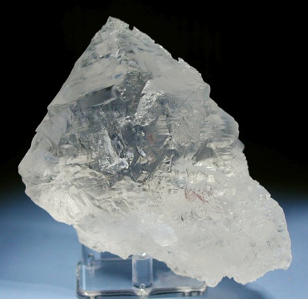 �g���C�S�[�j�b�N���� �p�L�X�^���Y 610g (36)