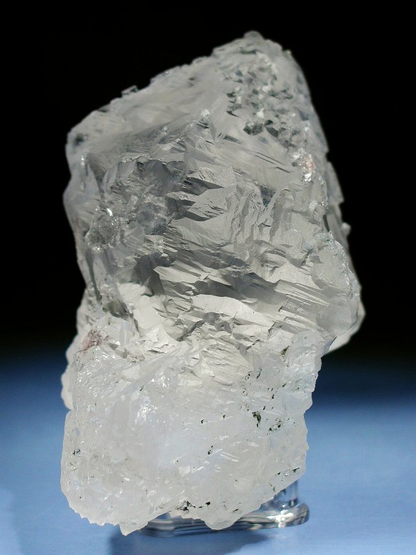 �g���C�S�[�j�b�N���� �p�L�X�^���Y 610g (36)