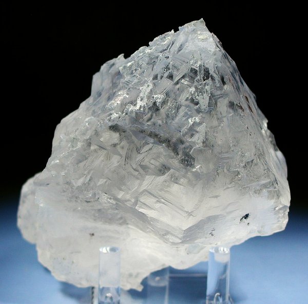 �g���C�S�[�j�b�N���� �p�L�X�^���Y 610g (36)