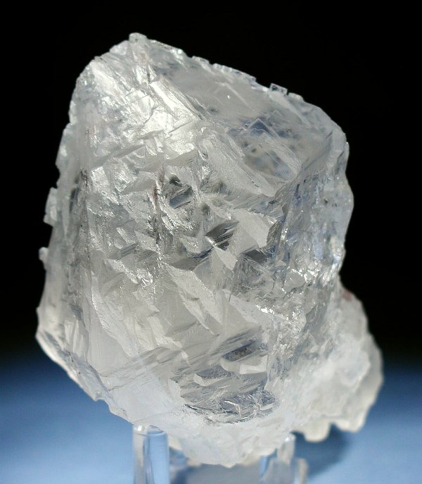 �g���C�S�[�j�b�N���� �p�L�X�^���Y 610g (36)