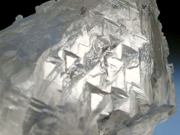 �g���C�S�[�j�b�N���� �p�L�X�^���Y 610g (36)