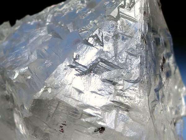 �g���C�S�[�j�b�N���� �p�L�X�^���Y 610g (36)