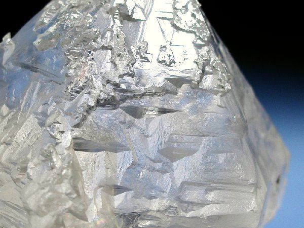 �g���C�S�[�j�b�N���� �p�L�X�^���Y 610g (36)