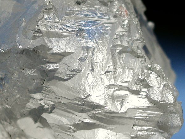 �g���C�S�[�j�b�N���� �p�L�X�^���Y 610g (36)